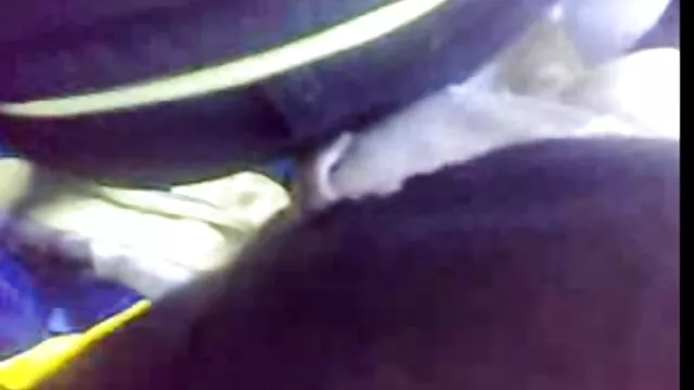 A érett nők szex videók fiam megdugta az anya nagy seggét, hogy a canzana a biliárdasztalon